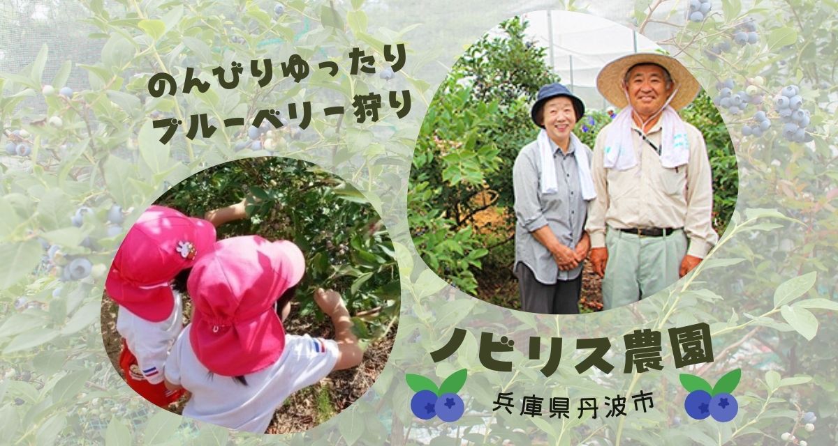 兵庫県丹波市ノビリス農園