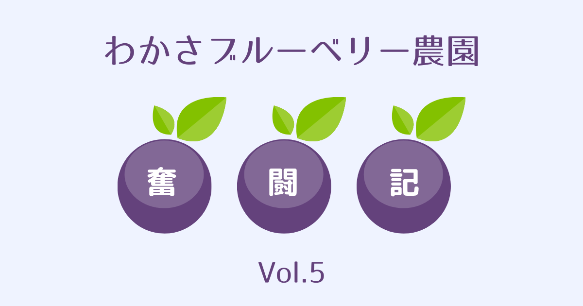 わかさブルーベリー農園奮闘記vol5