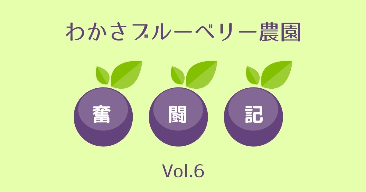 若さブルーベリー農園奮闘記vol.6