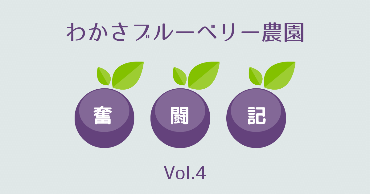わかさブルーベリー農園奮闘記vol.4
