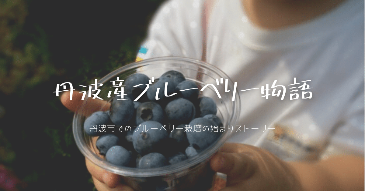 丹波産ブルーベリー物語アイキャッチ
