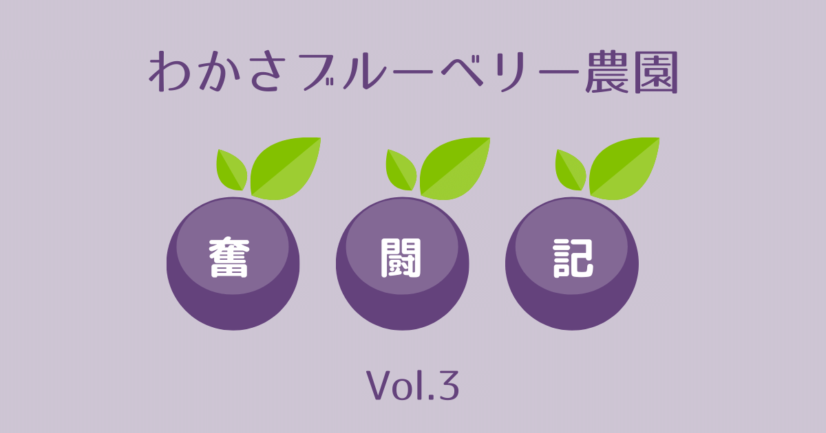 わかさブルーベリー農園奮闘記vol.3