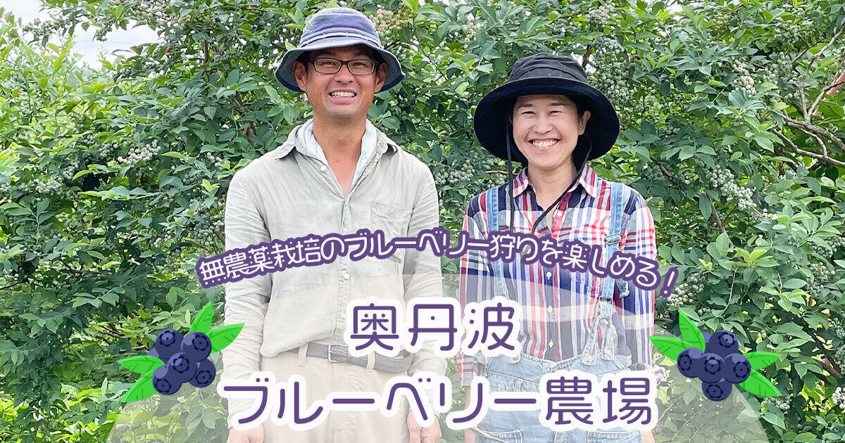 奥丹波ブルーベリー農場