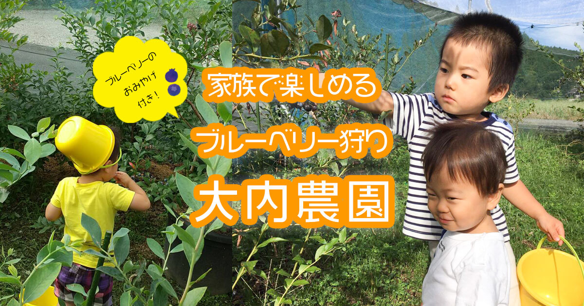 家族で楽しめるブルーベリー狩り大内農園