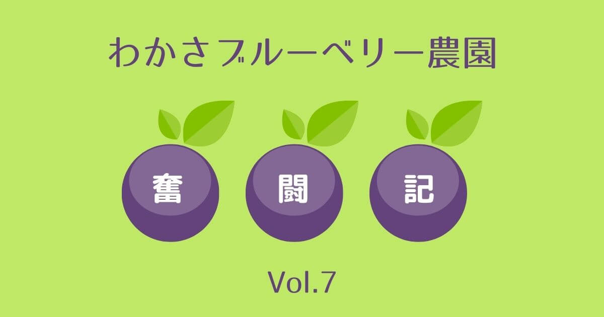 わかさブルーベリー農園奮闘記７