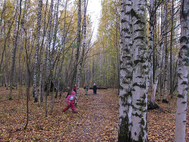 フィンランドの秋